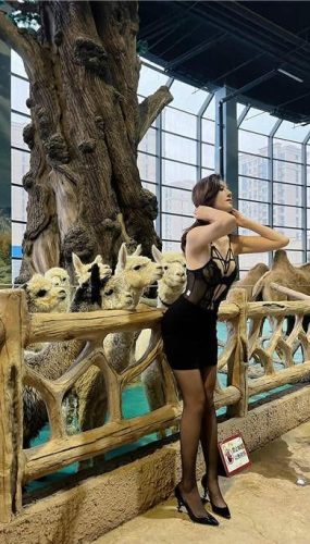 就是阿朱啊 – 微密圈 對動物下手 [11P/1V/19MB]